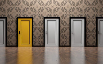 O que vai fazer hoje?